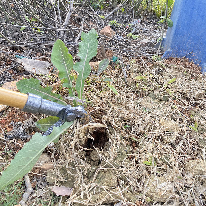 Stand Up Weed Puller Tool