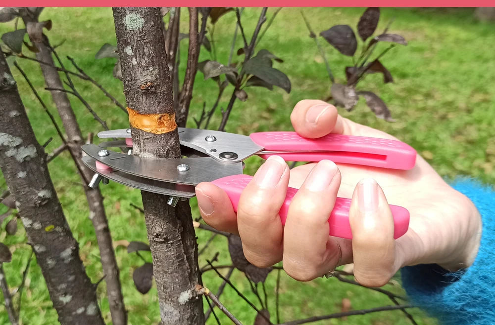 Grafting Cutting Tool
