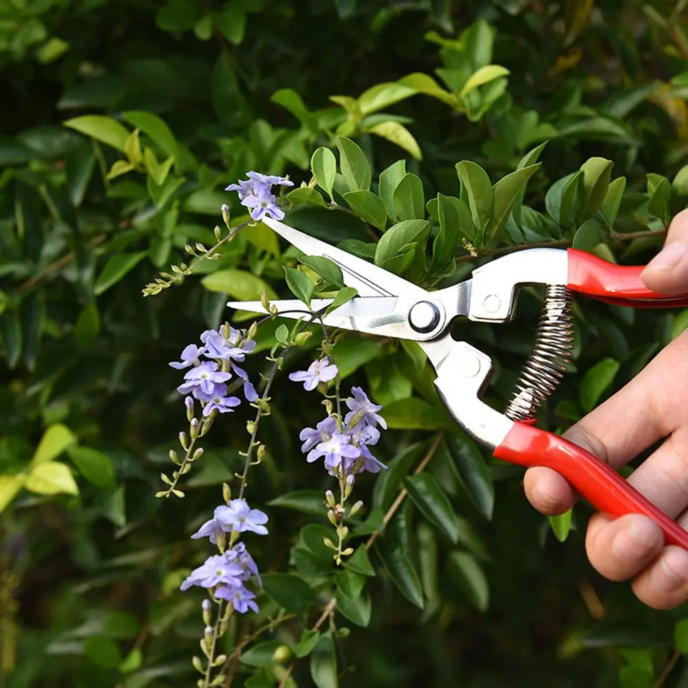 Anti-slip Pruner Garden Scissors
