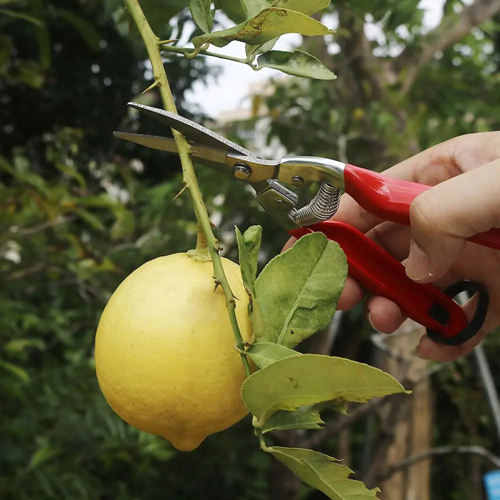 Anti-slip Pruner Garden Scissors