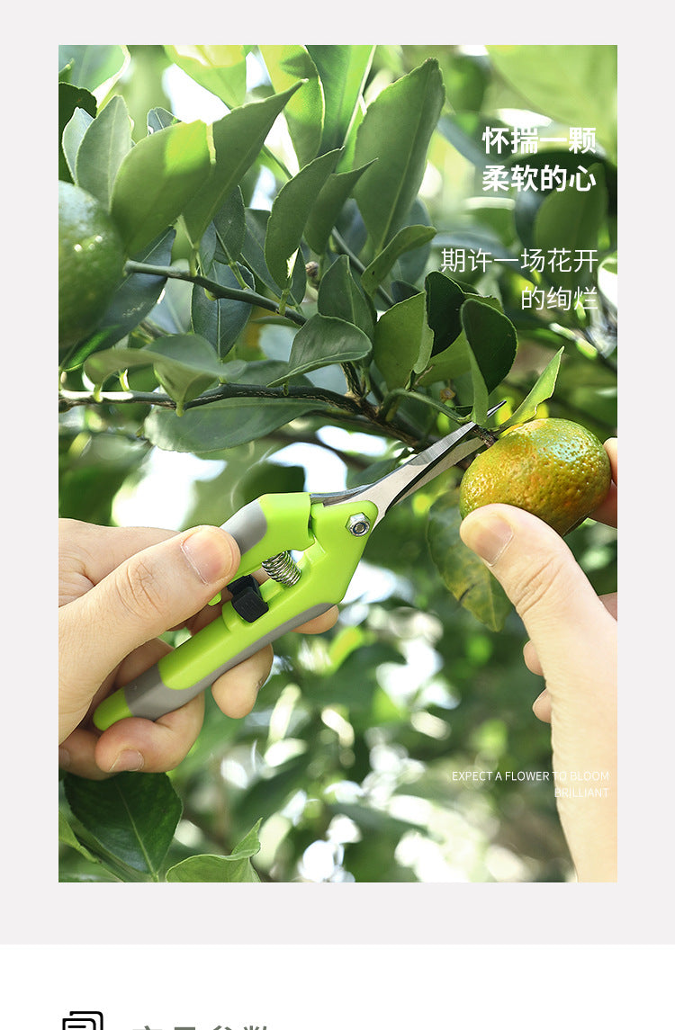 Garden Tools Secateurs
