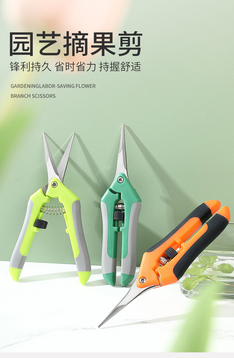 Garden Tools Secateurs