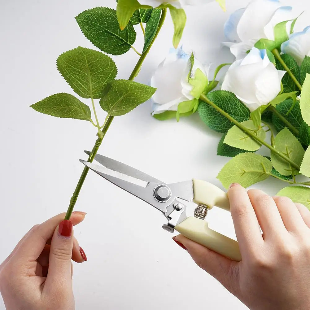 Pruning Garden Scissors
