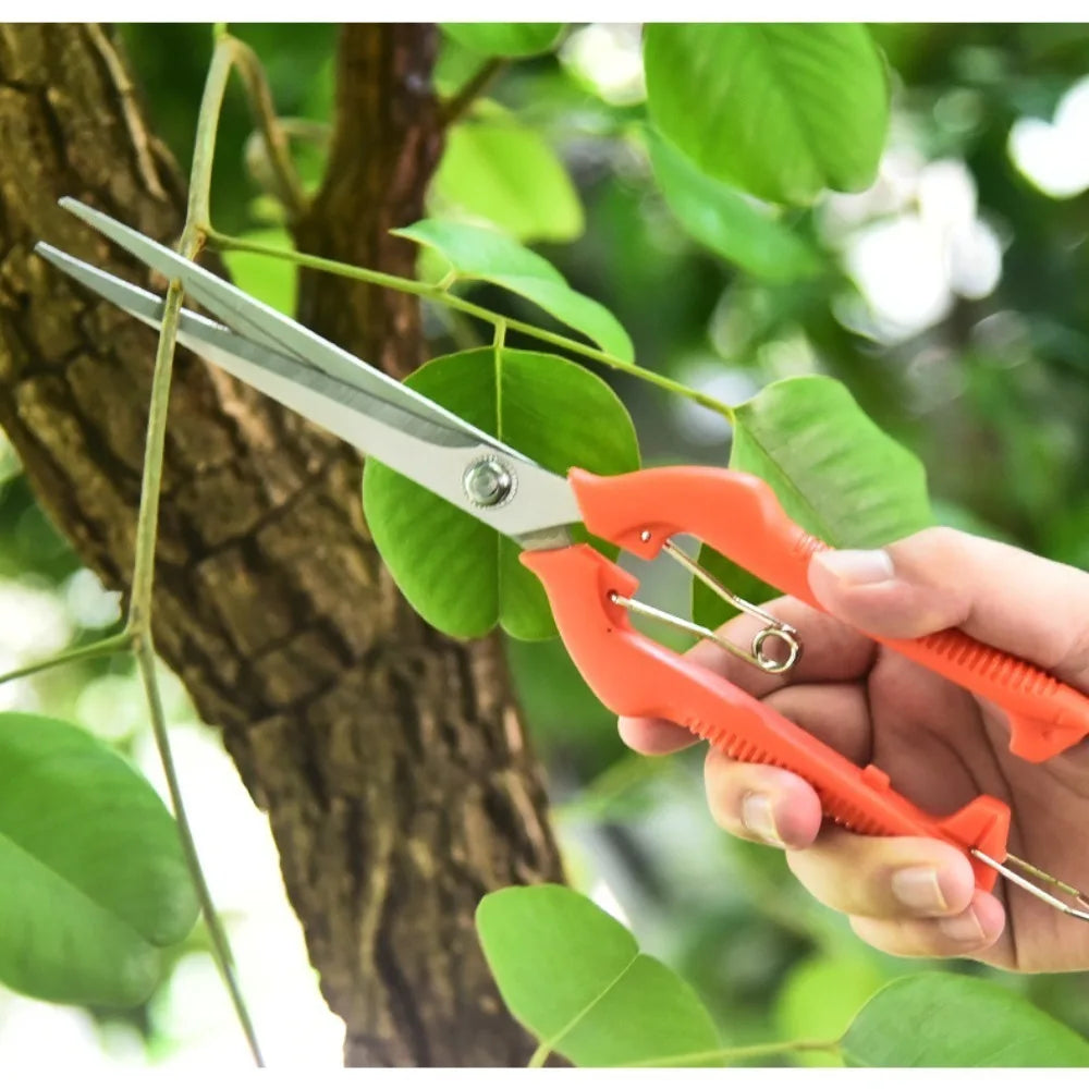 Garden Pruning Shears Stainless Steel Tools