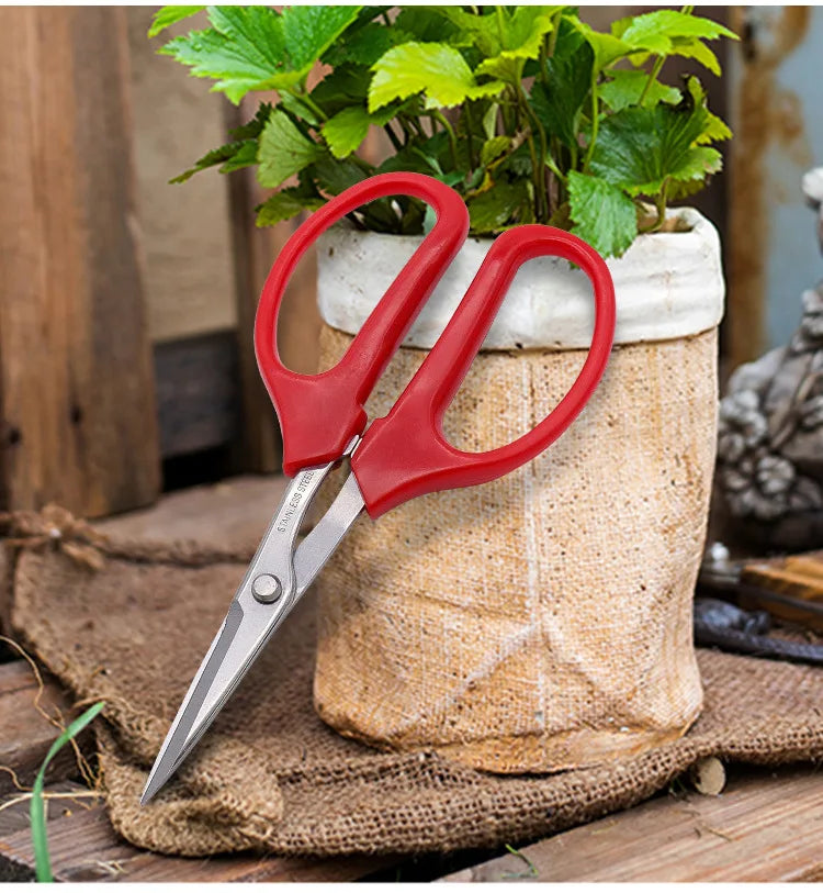 Whosesale Stainless Steel Fruit Grape Scissors