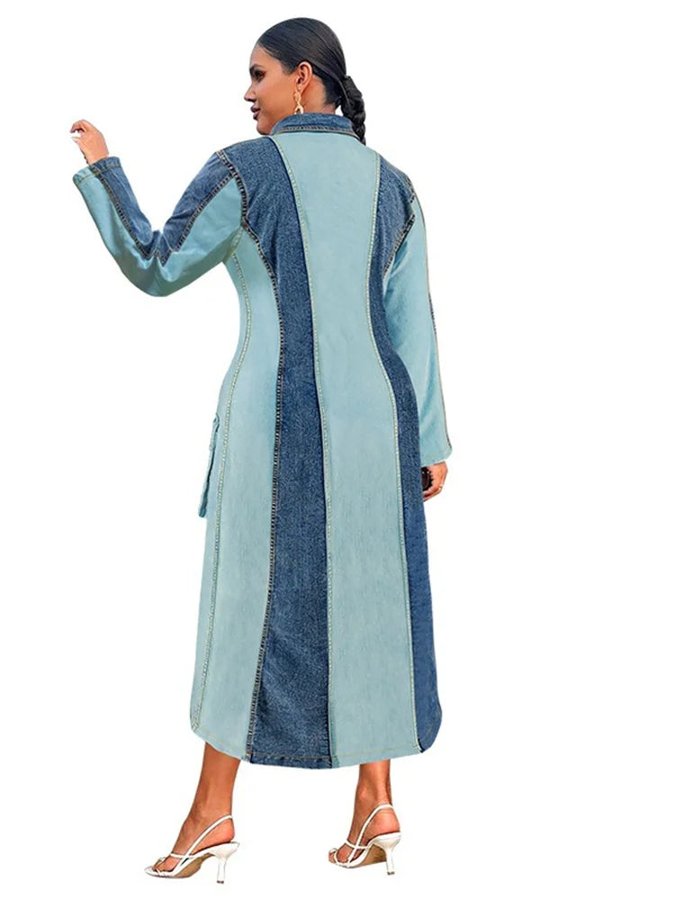 Women's Plus Size Denim Dress