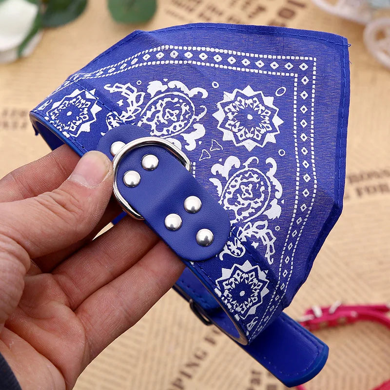 Dog Collar with Scarf