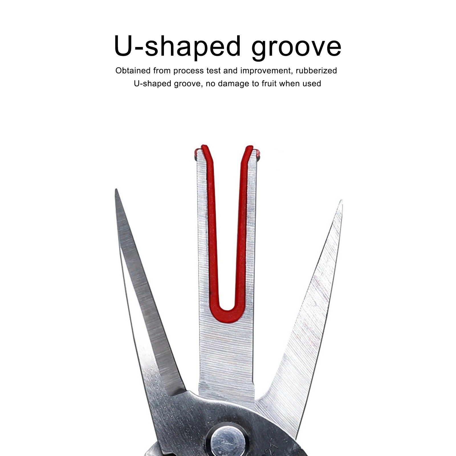 Double-edged Apple Picking Scissors