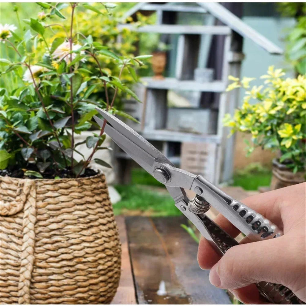 Stainless Steel Scissors