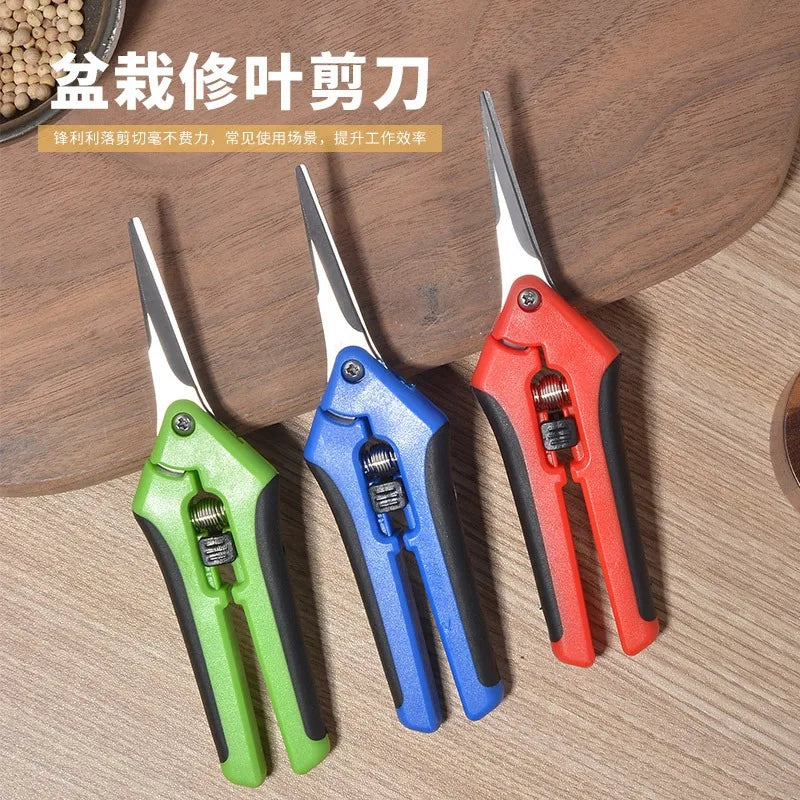 Powerful garden pruning scissors