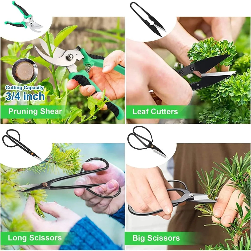 24 PCS Bonsai Tree Kit