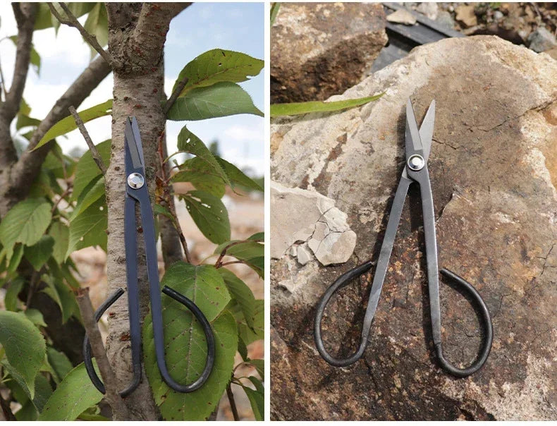Steel Long Handle Scissors