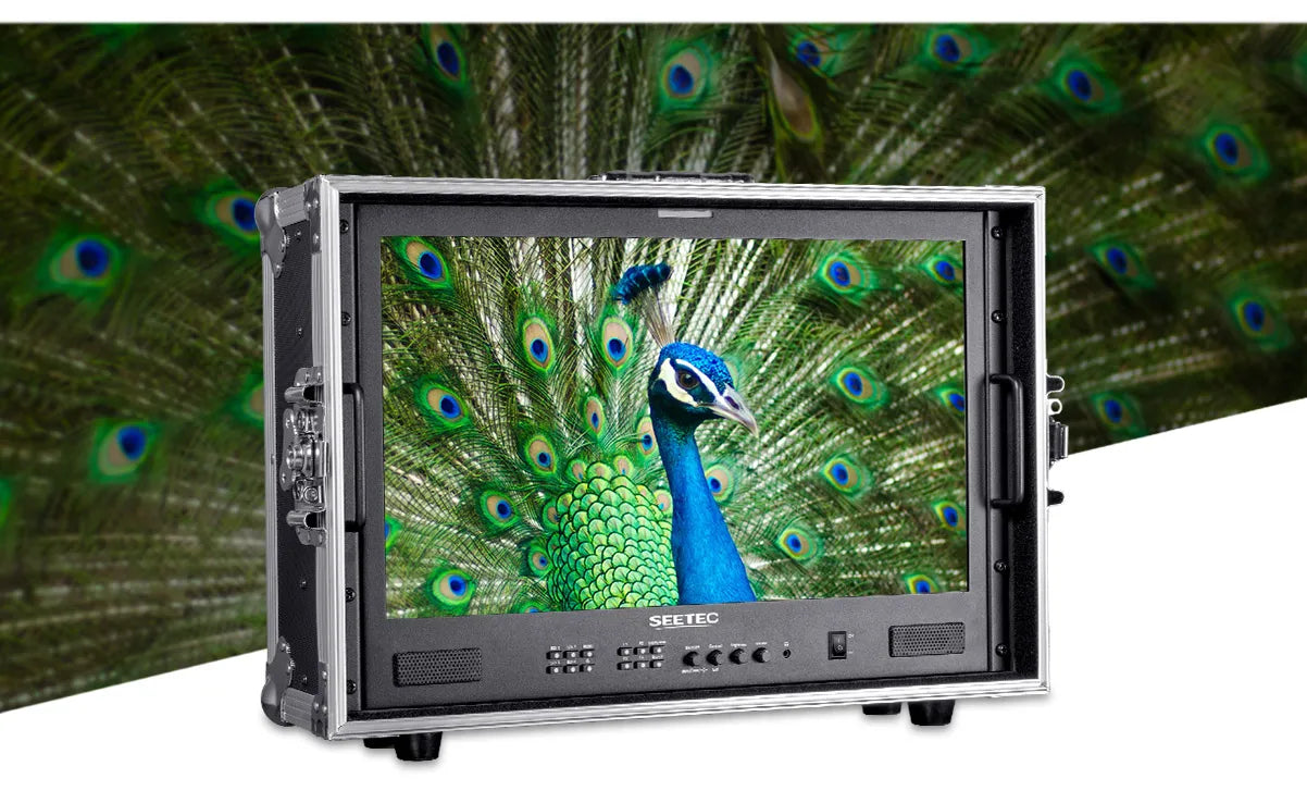 Portable Carry-on Multi-camera Director Monitor