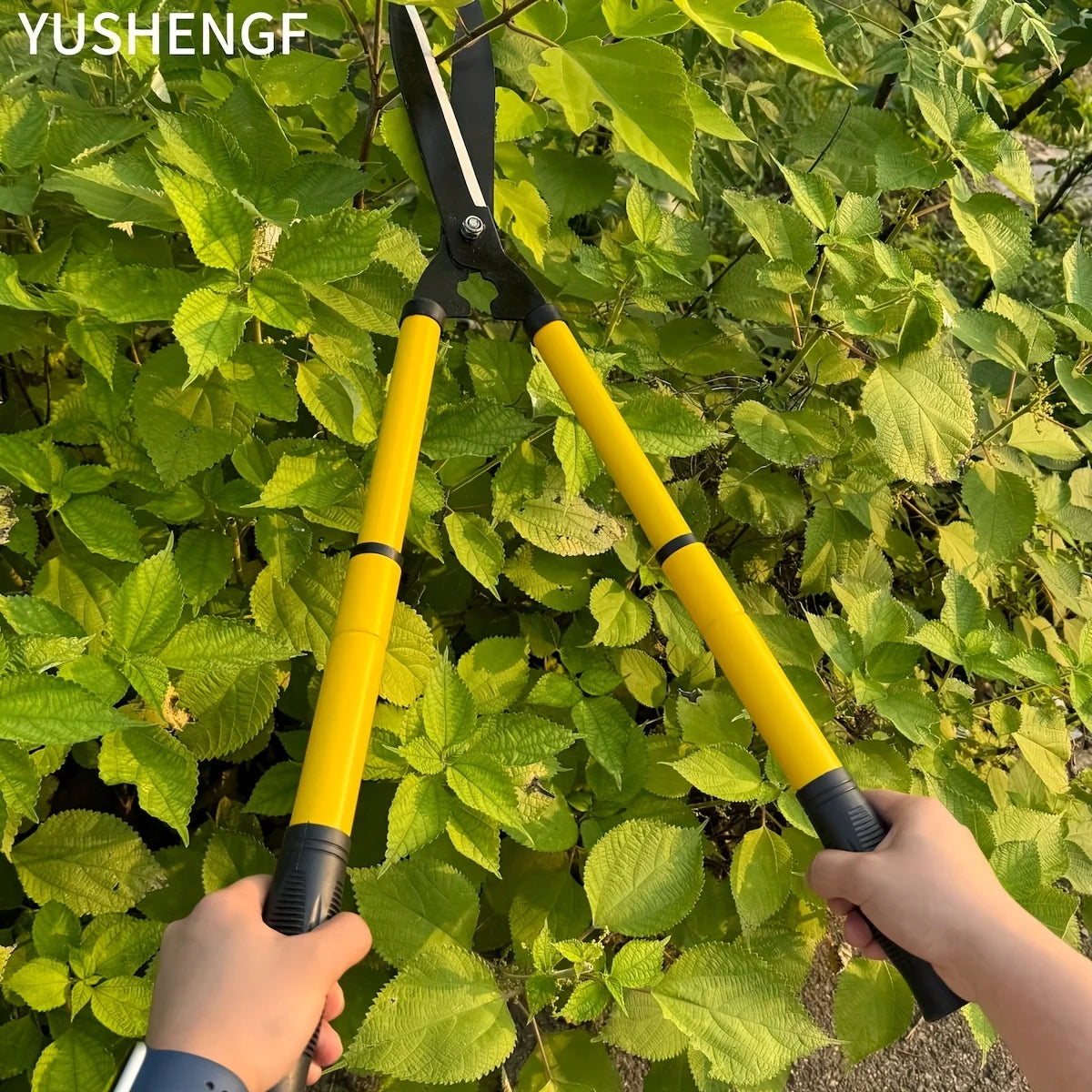 Telescopic Steel Blade Pruning Shears