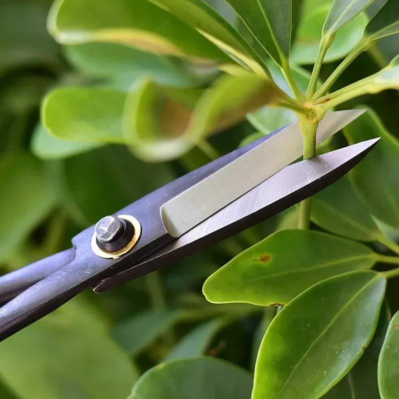 Steel Long Handle Scissors