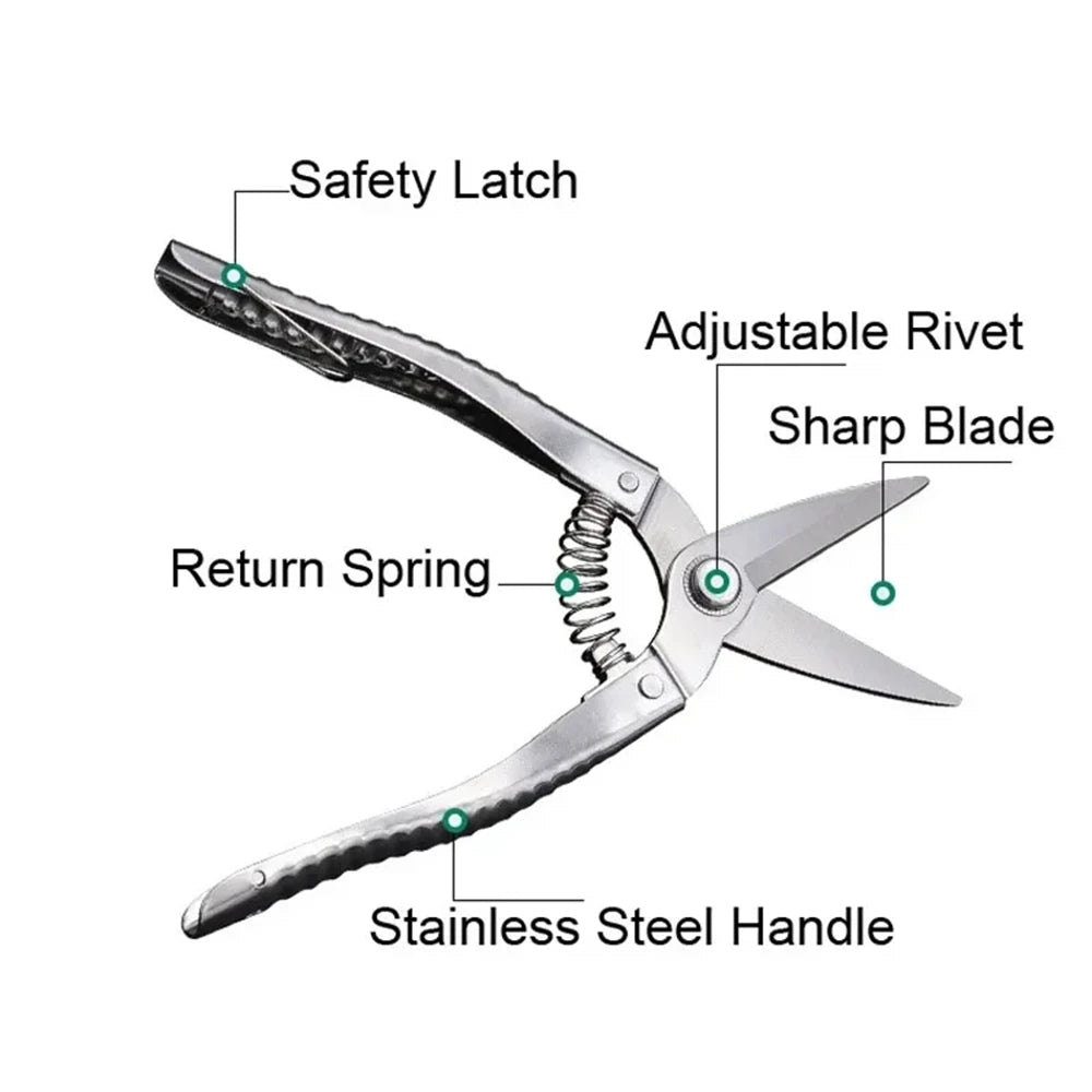 Stainless Steel Scissors