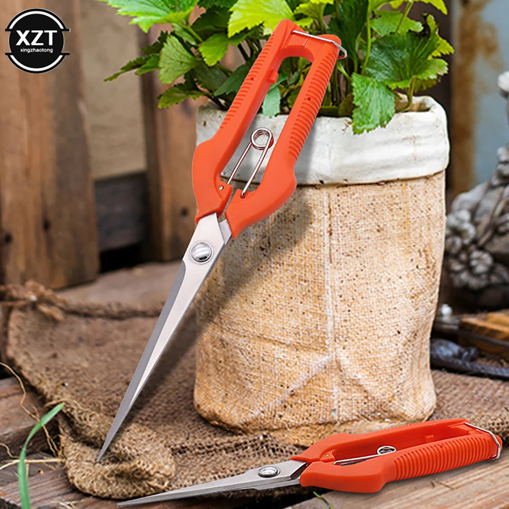 Pruning Shear Branch Scissors