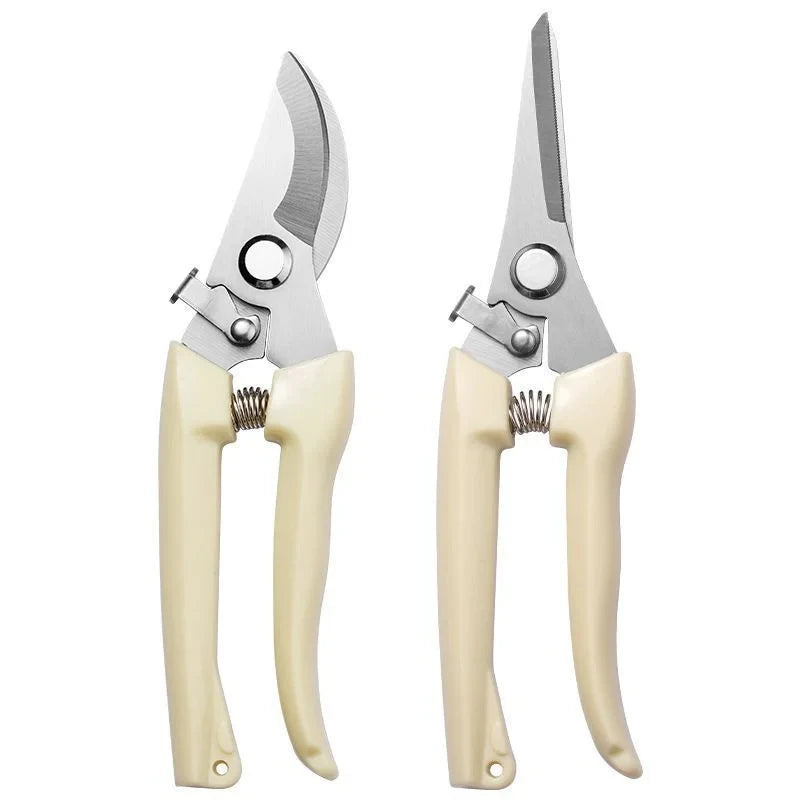 Stainless Steel Scissors Set