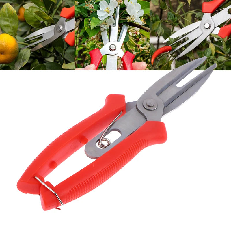 Double-port Fruit And Flower Thinning Shears
