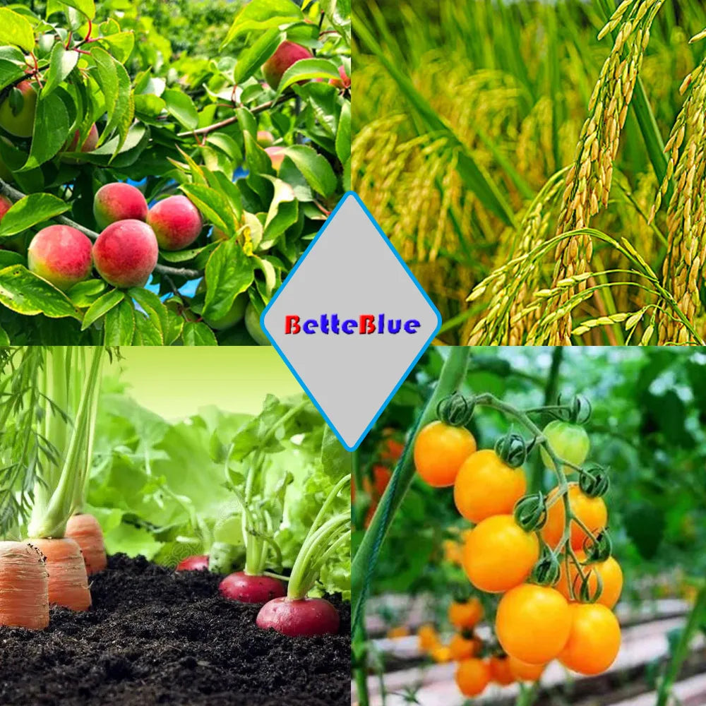 Garden House Plants Soil pH Meter