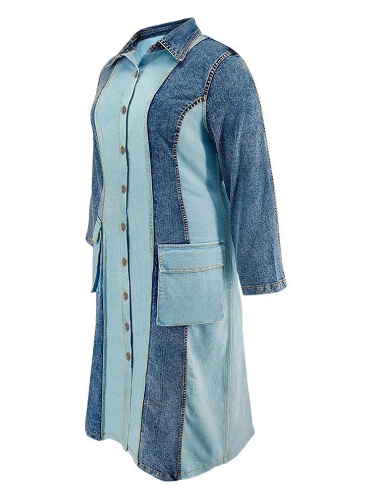 Women's Plus Size Denim Dress