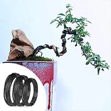 24 PCS Bonsai Tree Kit