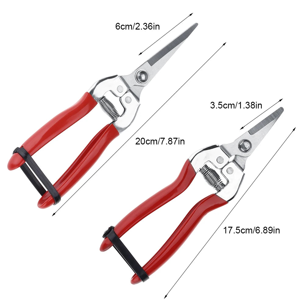 Fruit Tree Bonsai Gardening Pruning Shear