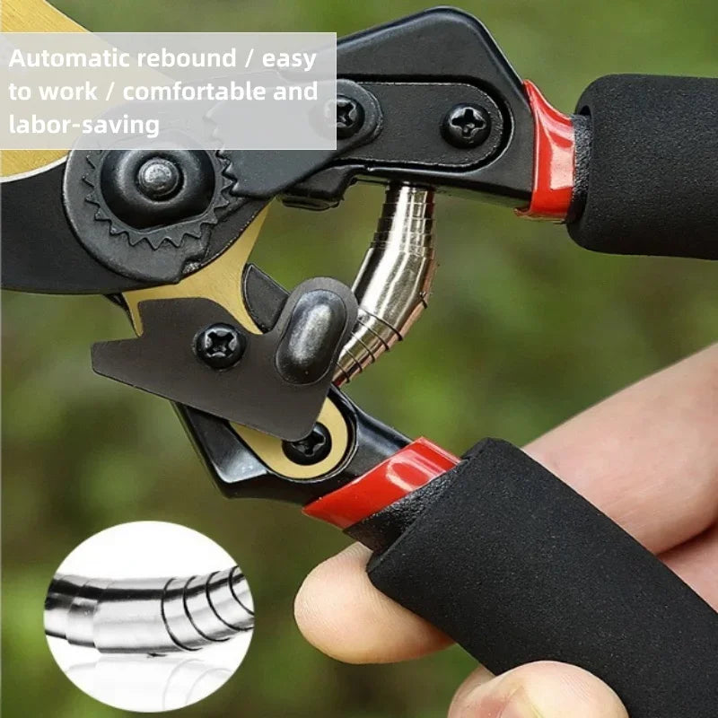 Garden Pruning Shears