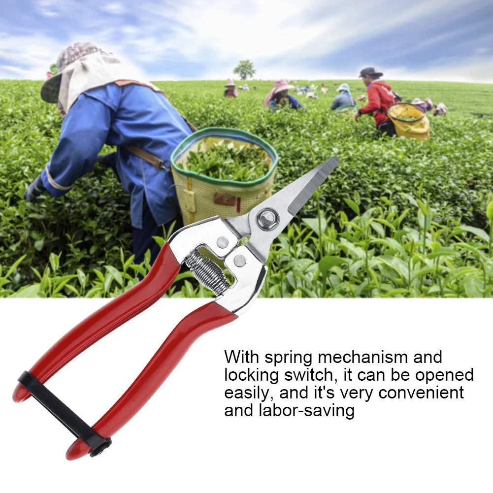 Fruit Tree Bonsai Gardening Pruning Shear