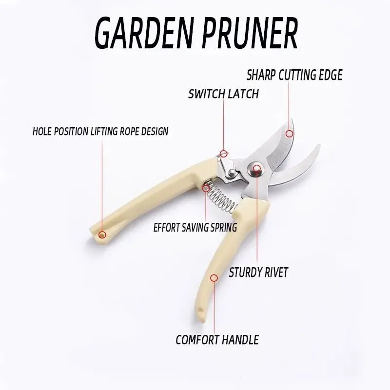 Stainless Steel Scissors