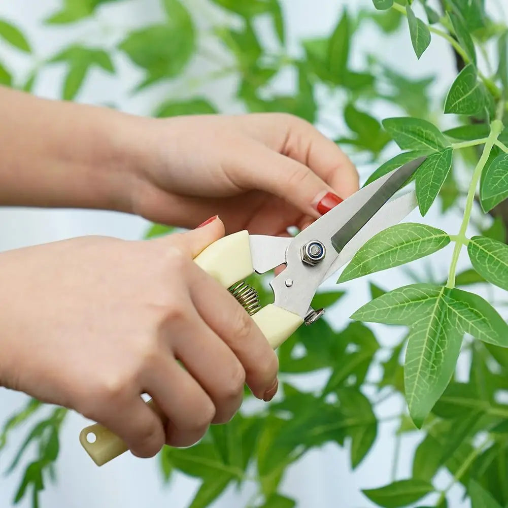 Professional Sharp Bypass Pruning Shears