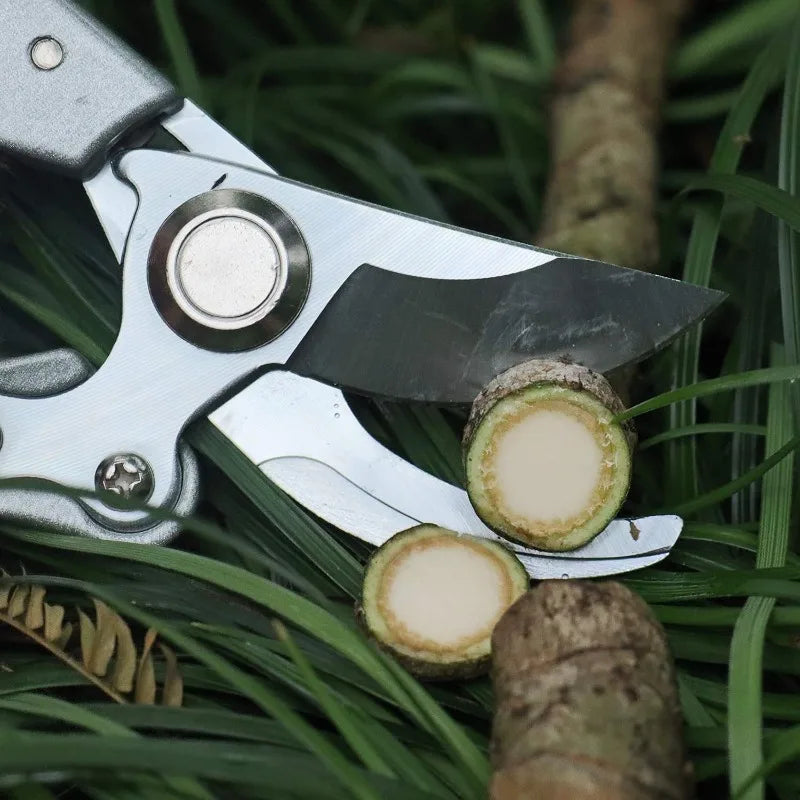 Heavy Duty Bypass Pruning Shears