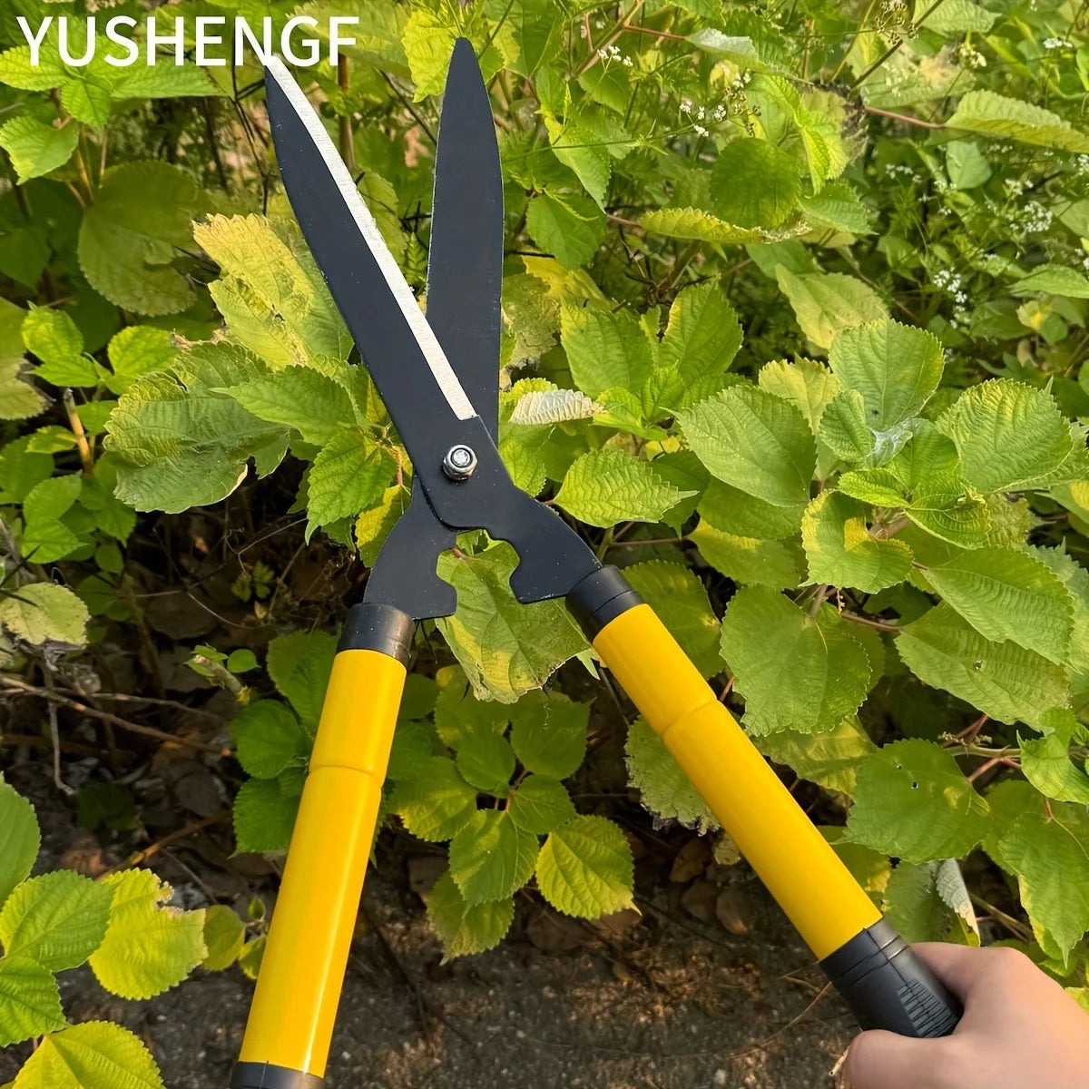 Telescopic Steel Blade Pruning Shears