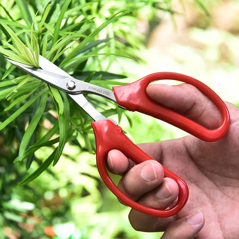 Whosesale Stainless Steel Fruit Grape Scissors