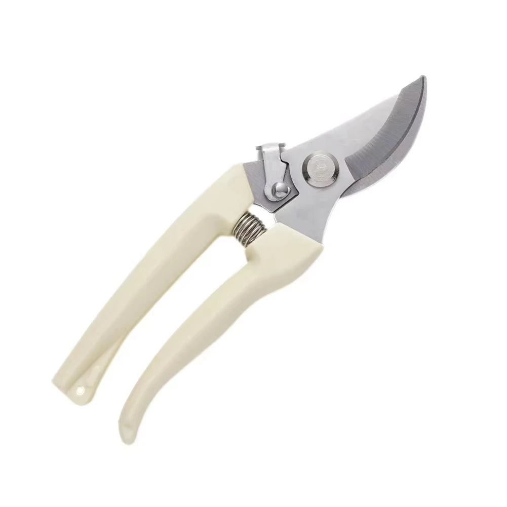 Stainless Steel Scissors Set