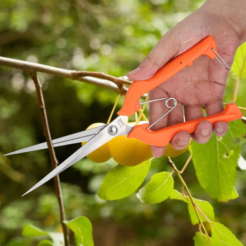 Garden Shear Plant Scissor