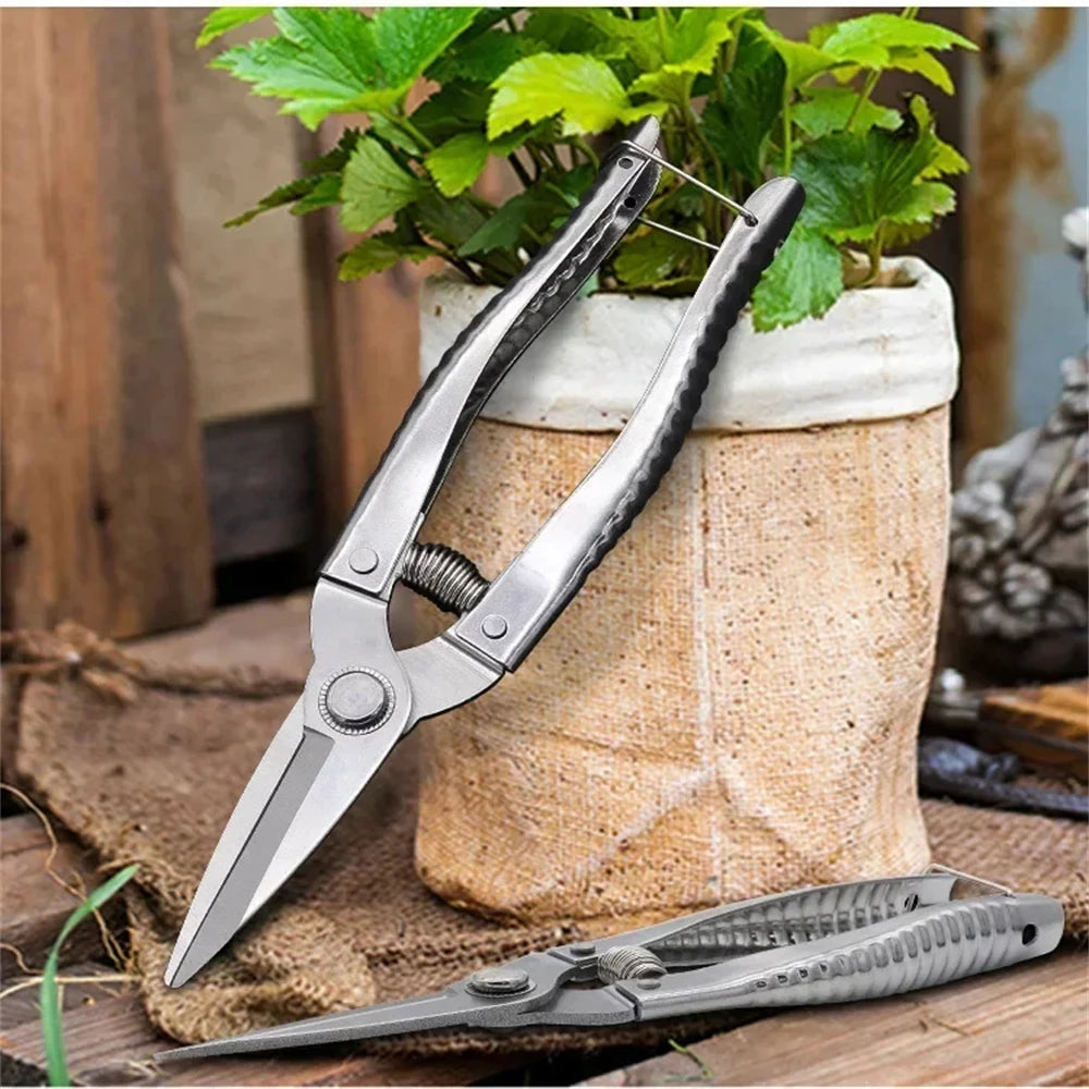 Stainless Steel Scissors