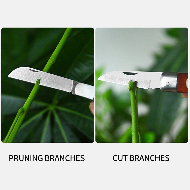 Folding Grafting Scissors