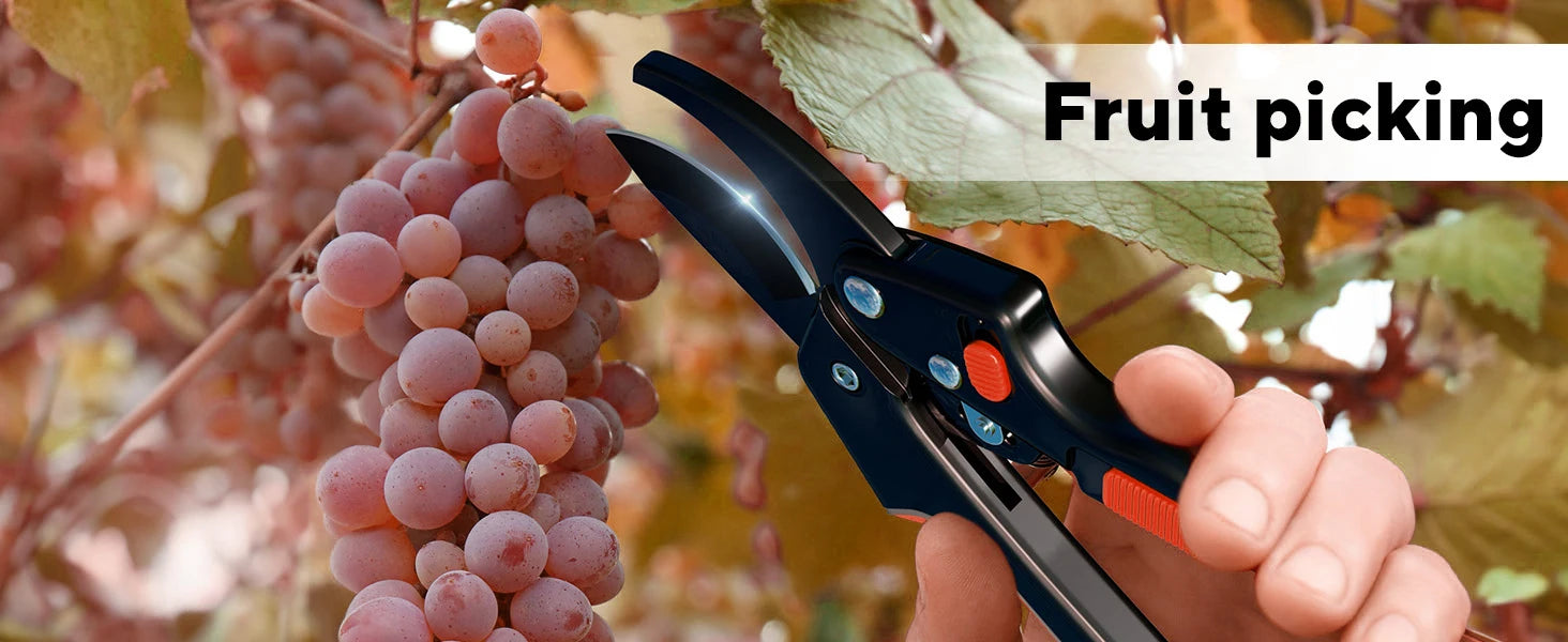 Garden Clippers