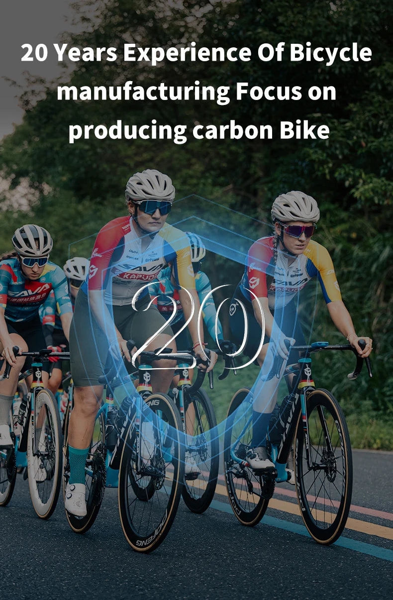 Carbon Road Bike
