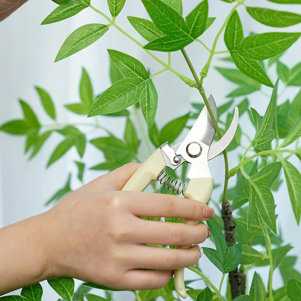 Pruning Garden Scissors