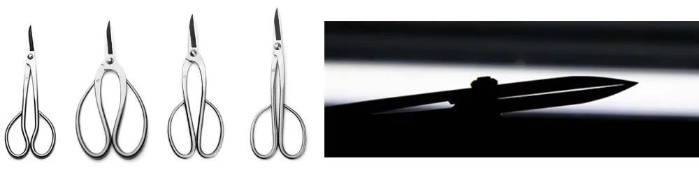 Top Pruning Bonsai Scissors