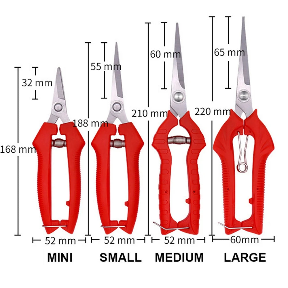 Double-edged Apple Picking Scissors