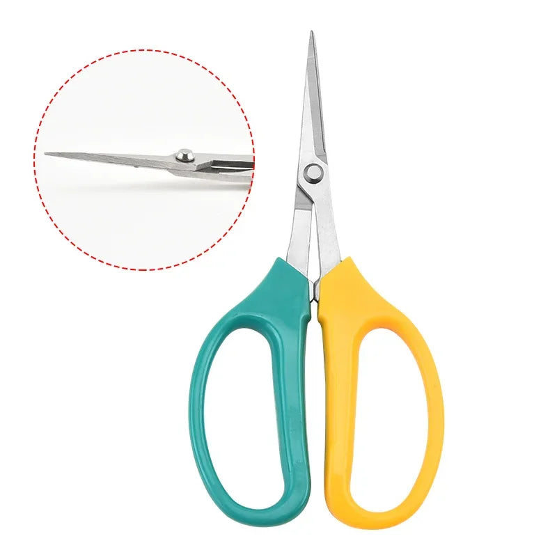 Stainless Steel Fruit Scissors