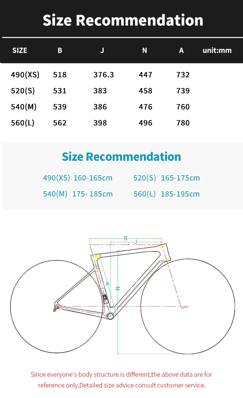 Carbon Road Bike