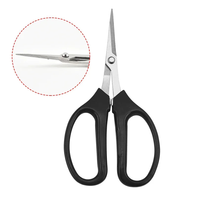 Stainless Steel Fruit Scissors