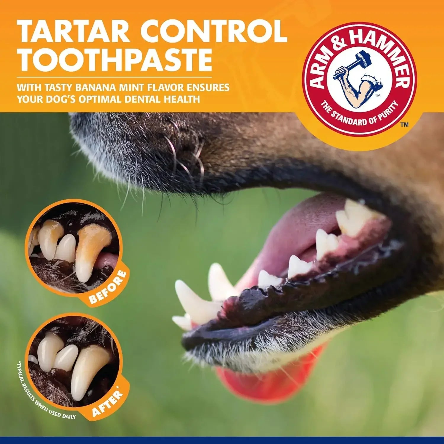 Pet Cleaning Tools Kit