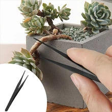 24 PCS Bonsai Tree Kit