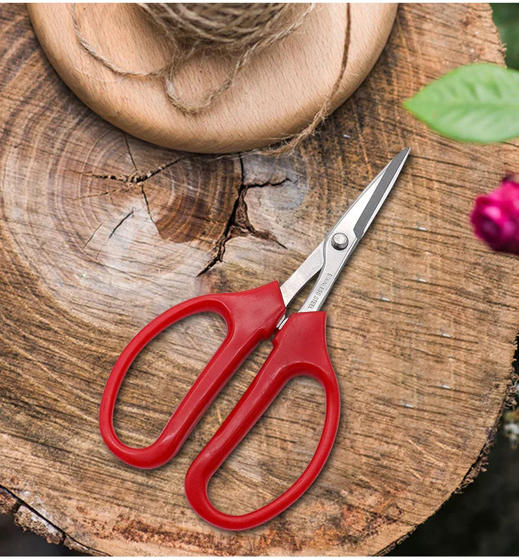 Whosesale Stainless Steel Fruit Grape Scissors