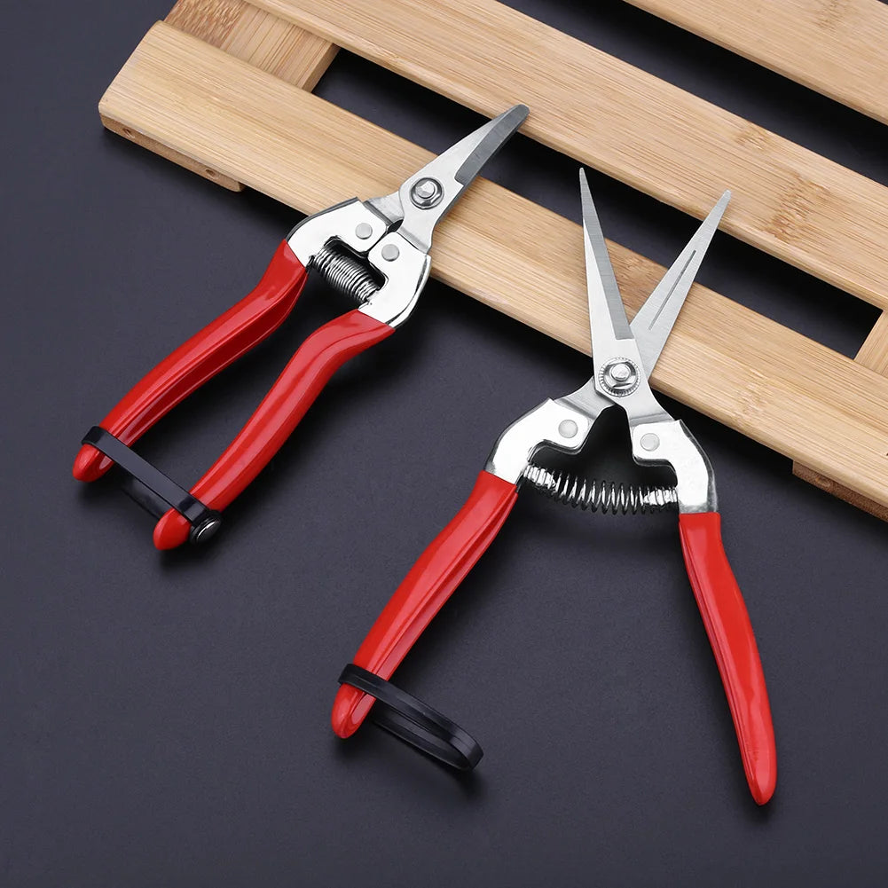 Fruit Tree Bonsai Gardening Pruning Shear